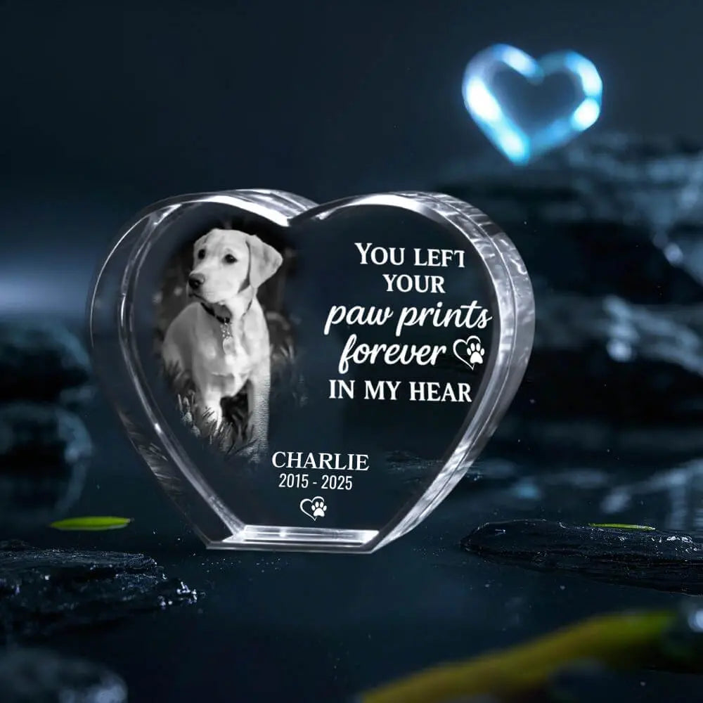 3D Pet Memorial Gift [Personalized Crystal Photo] Duconspace
