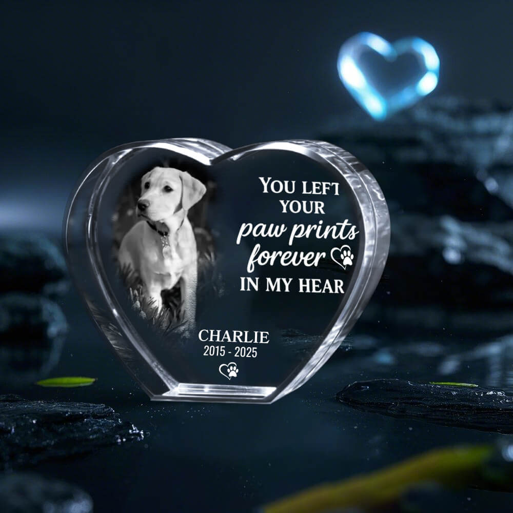 3D Pet Memorial Gift [Personalized Crystal Photo]
