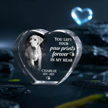 3D Pet Memorial Gift [Personalized Crystal Photo] Duconspace