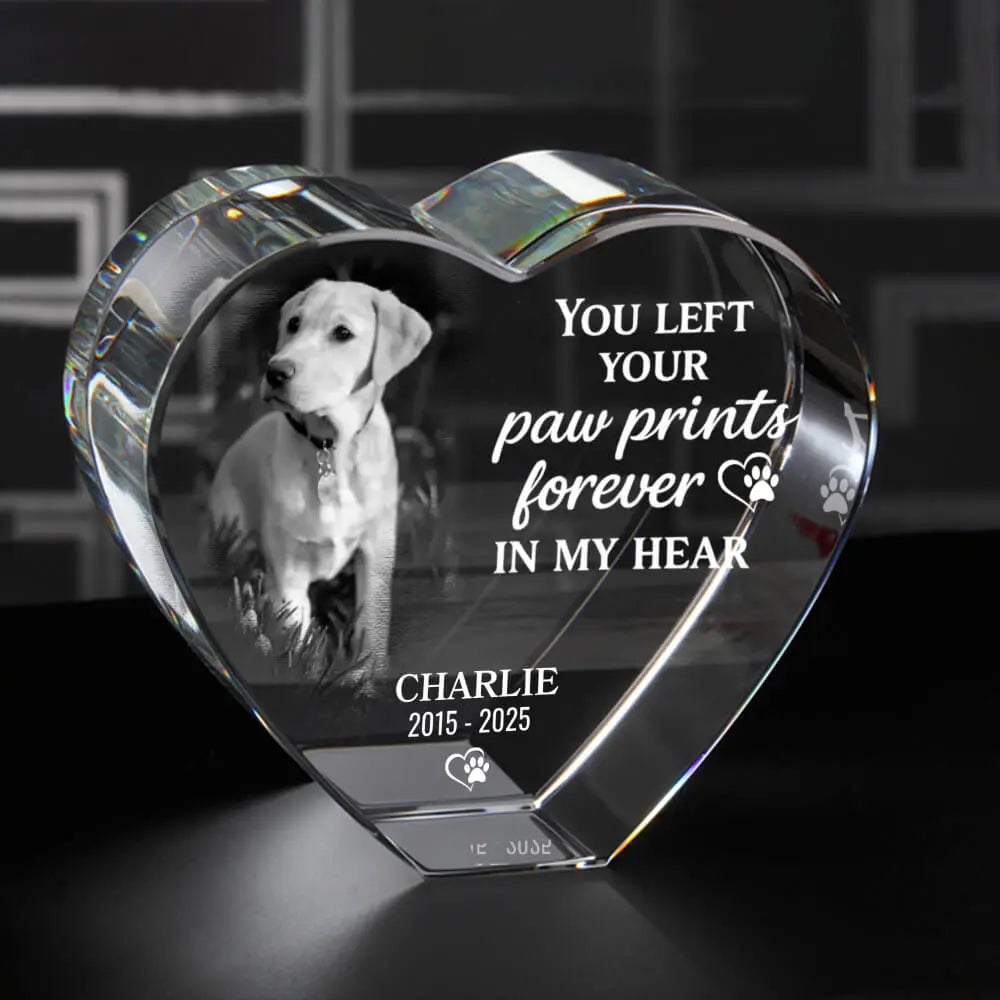 3D Pet Memorial Gift [Personalized Crystal Photo] Duconspace