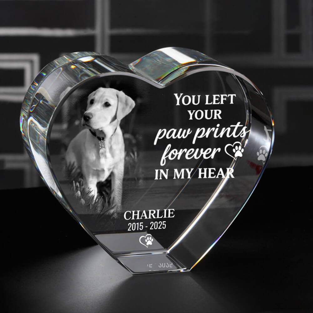 3D Pet Memorial Gift [Personalized Crystal Photo]