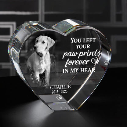 3D Pet Memorial Gift [Personalized Crystal Photo]