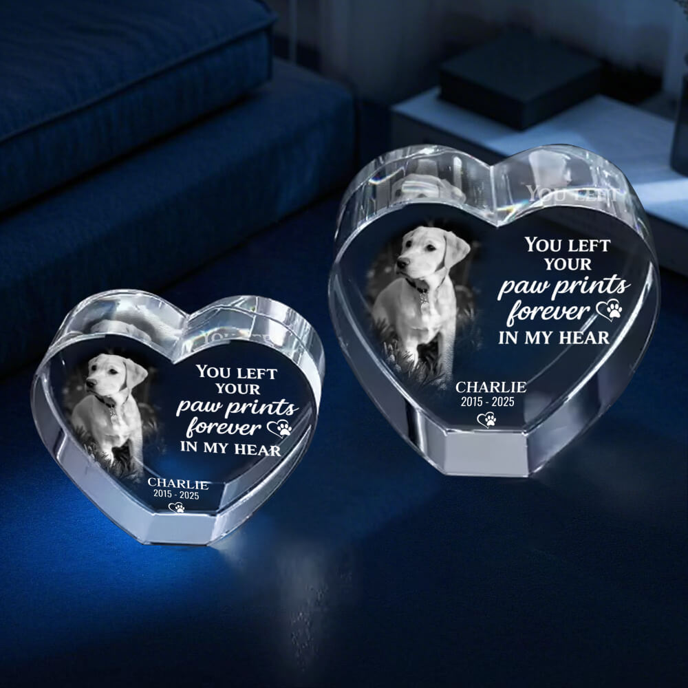 3D Pet Memorial Gift [Personalized Crystal Photo]