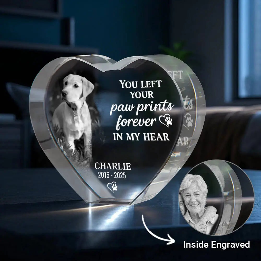 3D Pet Memorial Gift [Personalized Crystal Photo] Duconspace