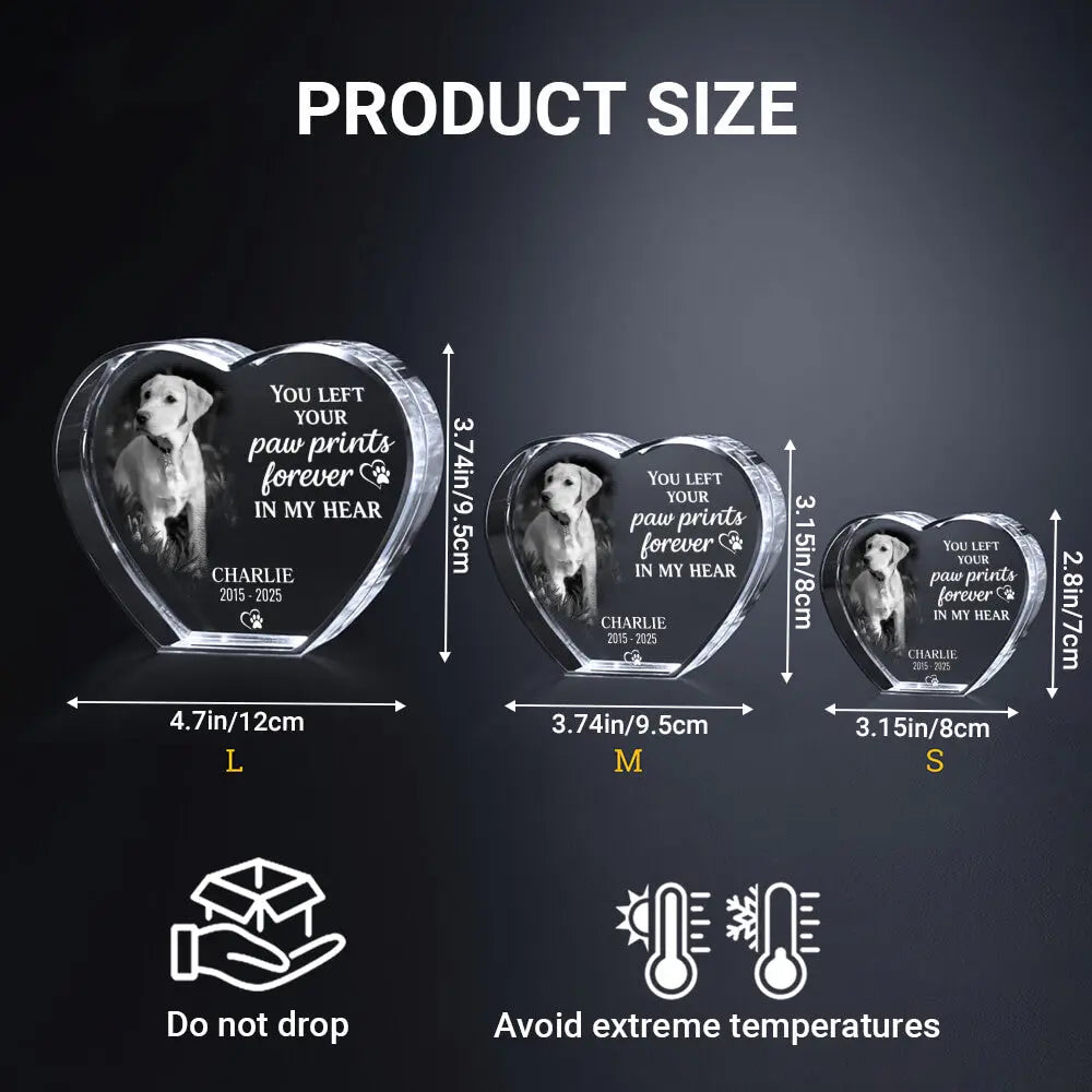 3D Pet Memorial Gift [Personalized Crystal Photo] Duconspace