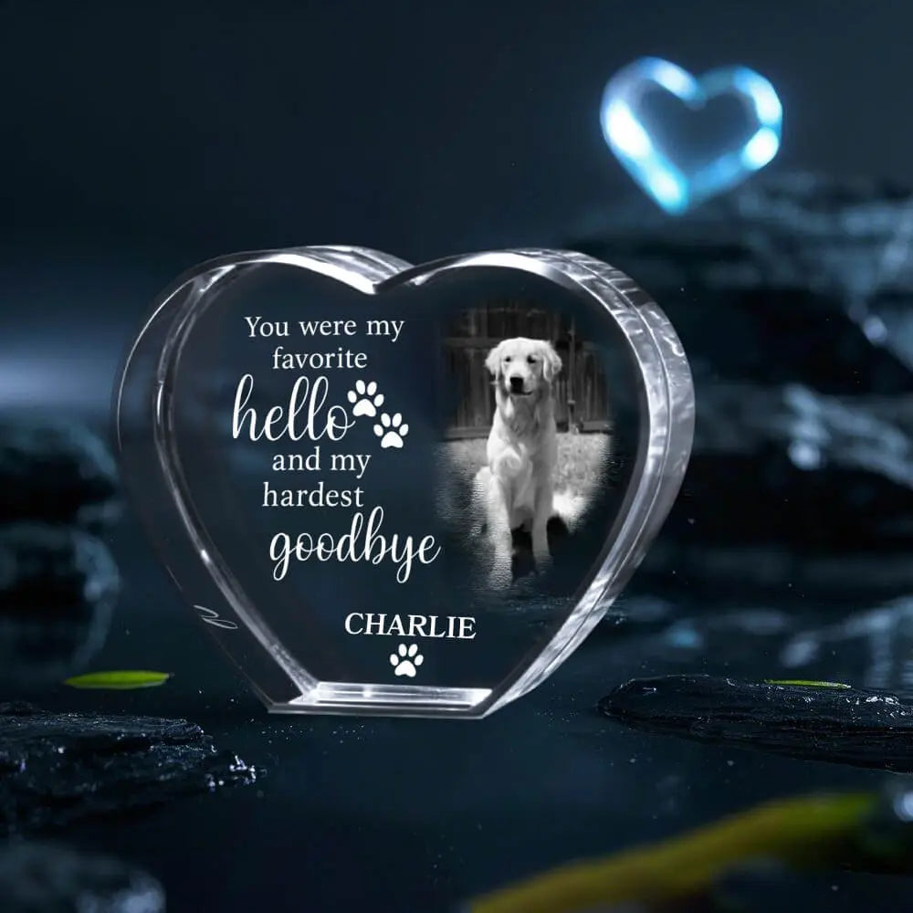 3D Photo Crystal Gift – Custom Pet Idea #5 Duconspace