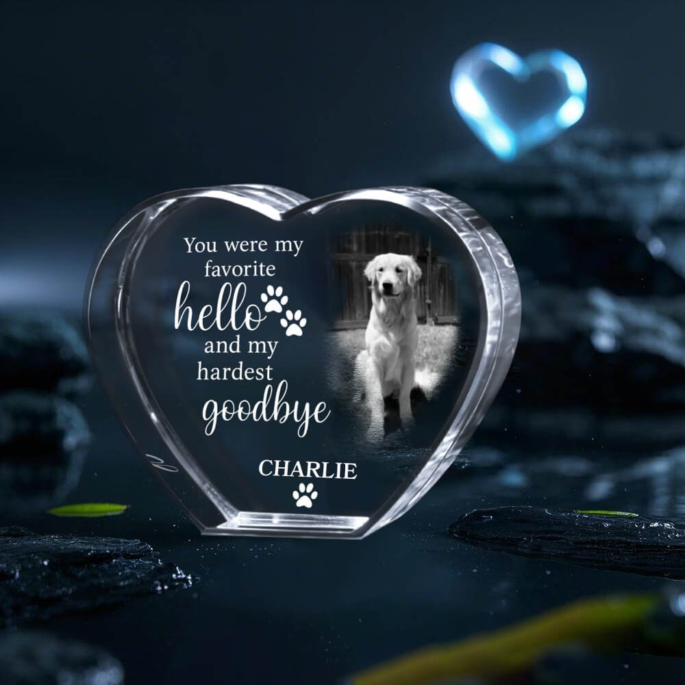 3D Photo Crystal Gift – Custom Pet Idea #5