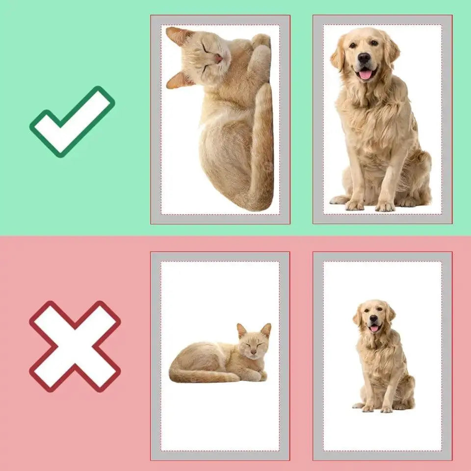 Custom Photo My Beloved Fur Baby - Dog & Cat Personalized Custom Shaped Pillow TeeInBlue