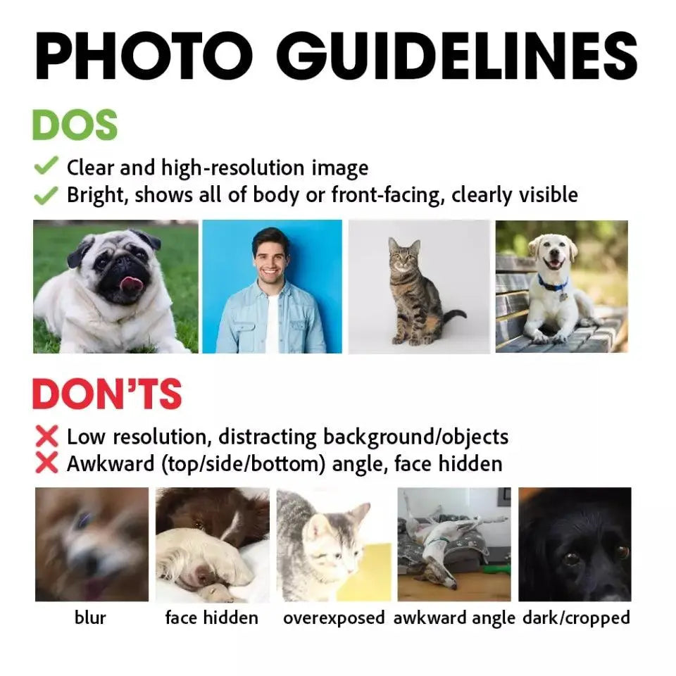 Colorful Upload Pet Image Blanket - Gift For Dog Lovers TeeInBlue