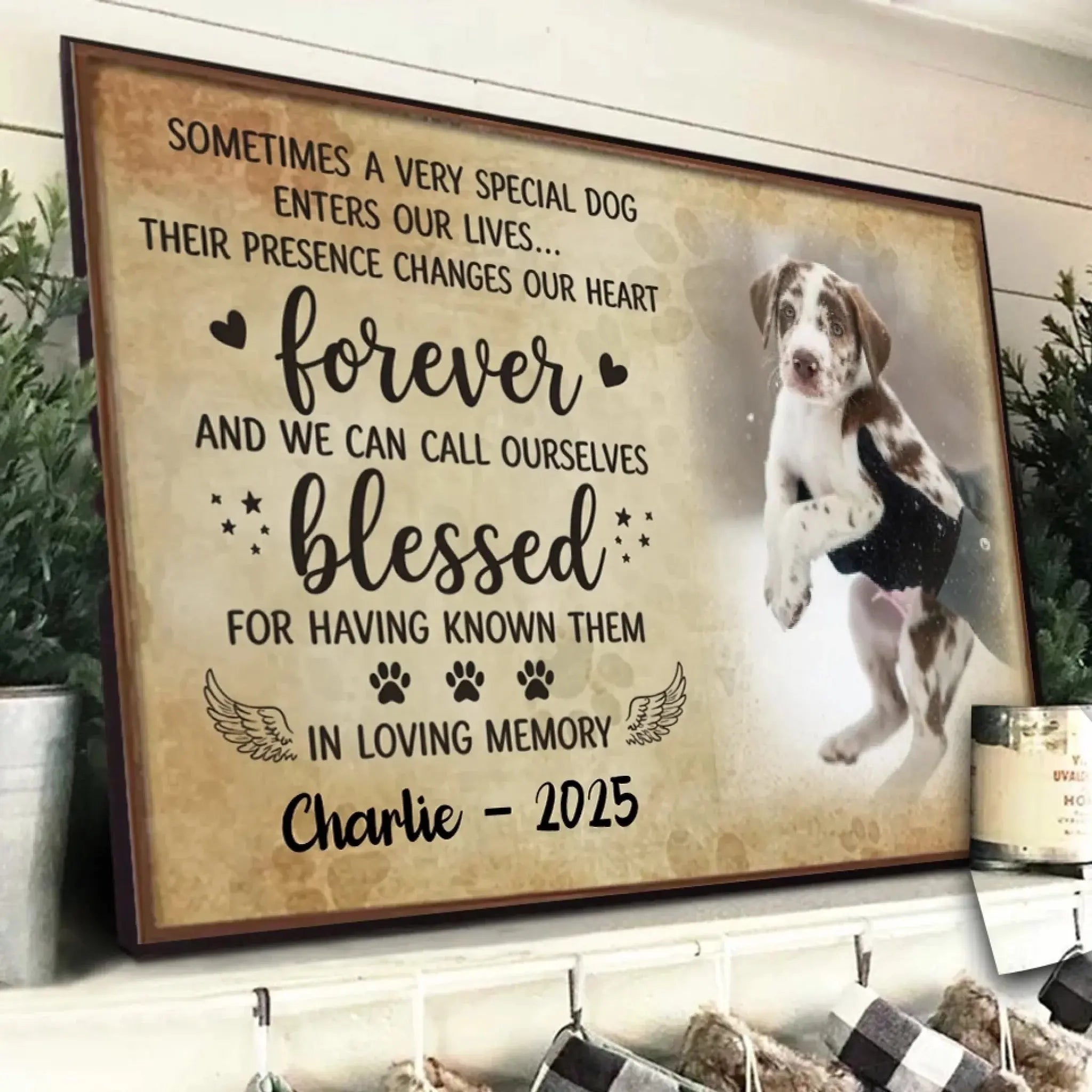 2. Sometimes a Very Special Dog Enters Our Lives – Personalized Horizontal Poster with Photo Upload, Heartfelt Gift for Dog Lovers POS-MAY25-006-HA