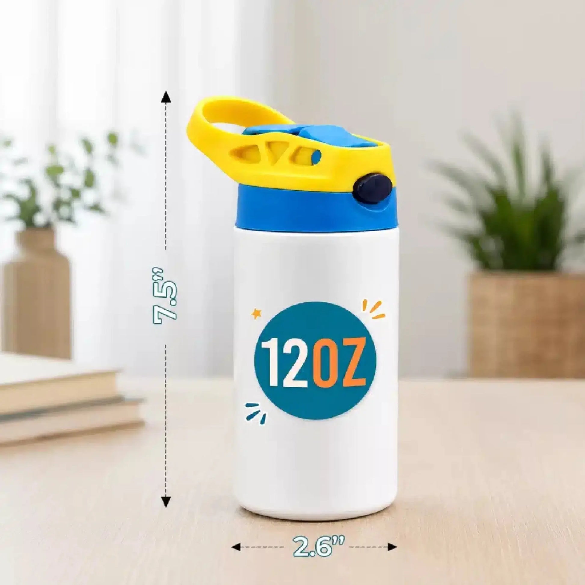 Insulated Water Bottle Details