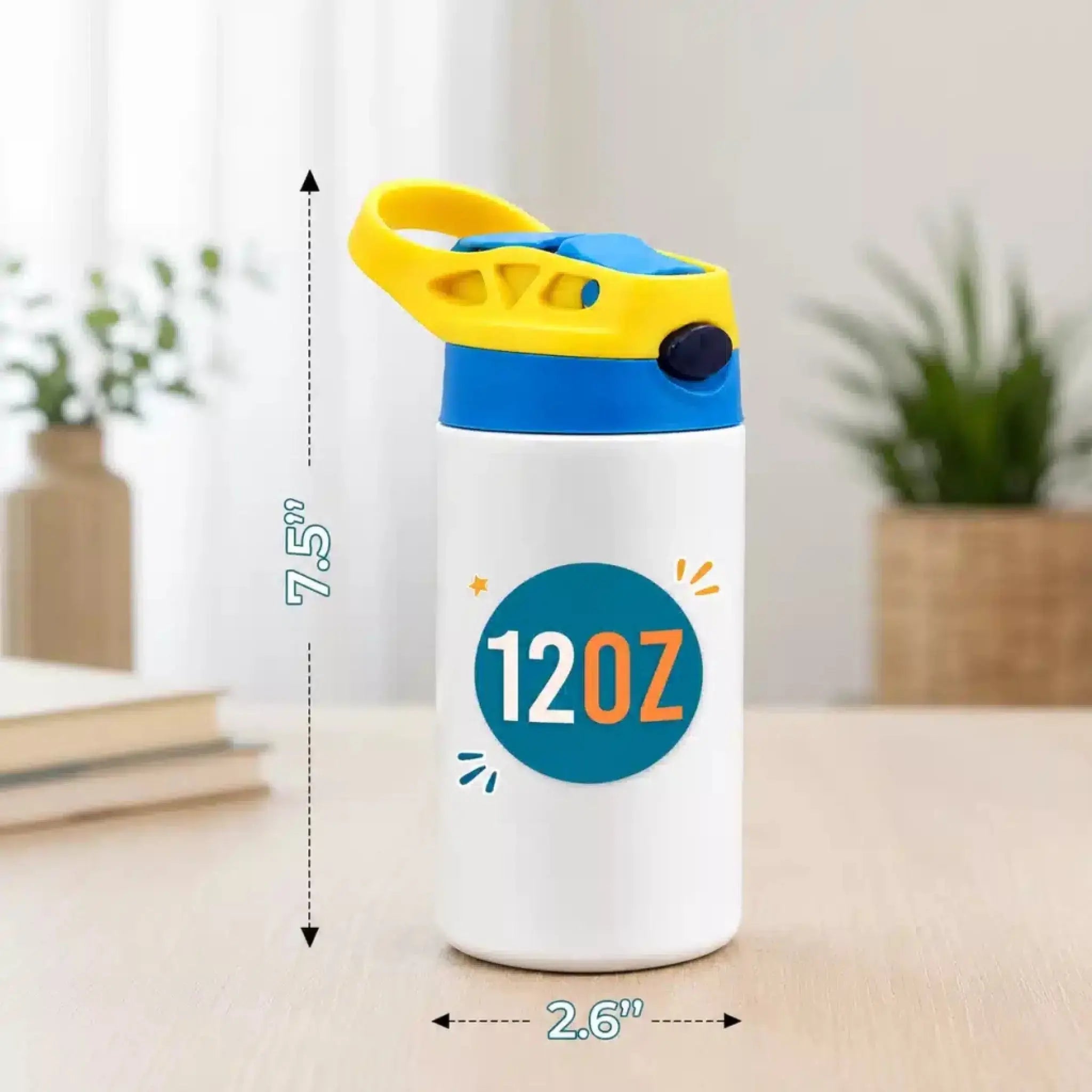 Insulated Water Bottle Details