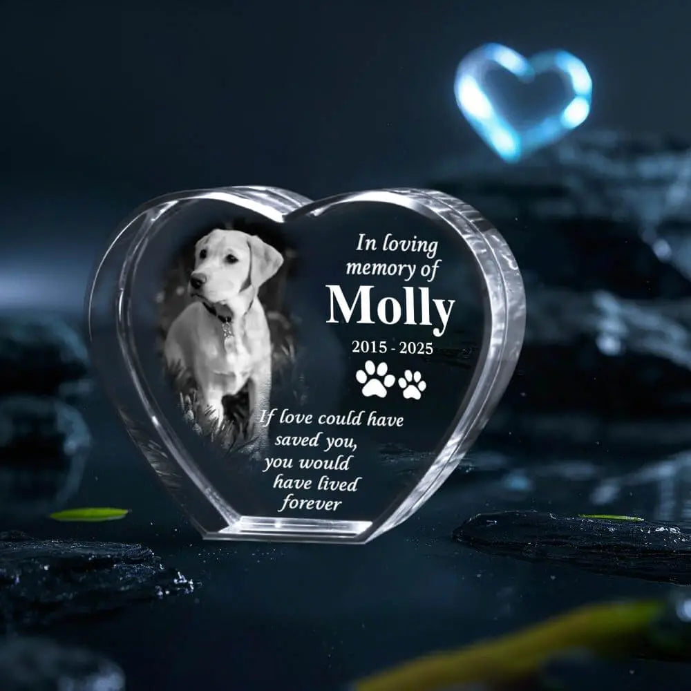 Custom 3D Crystal Pet Memorial – Laser Engraving Keepsake Duconspace