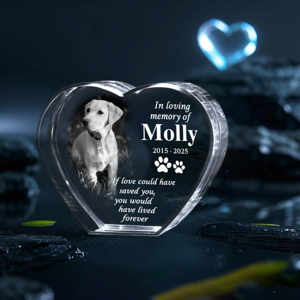 Custom 3D Crystal Pet Memorial – Laser Engraving Keepsake