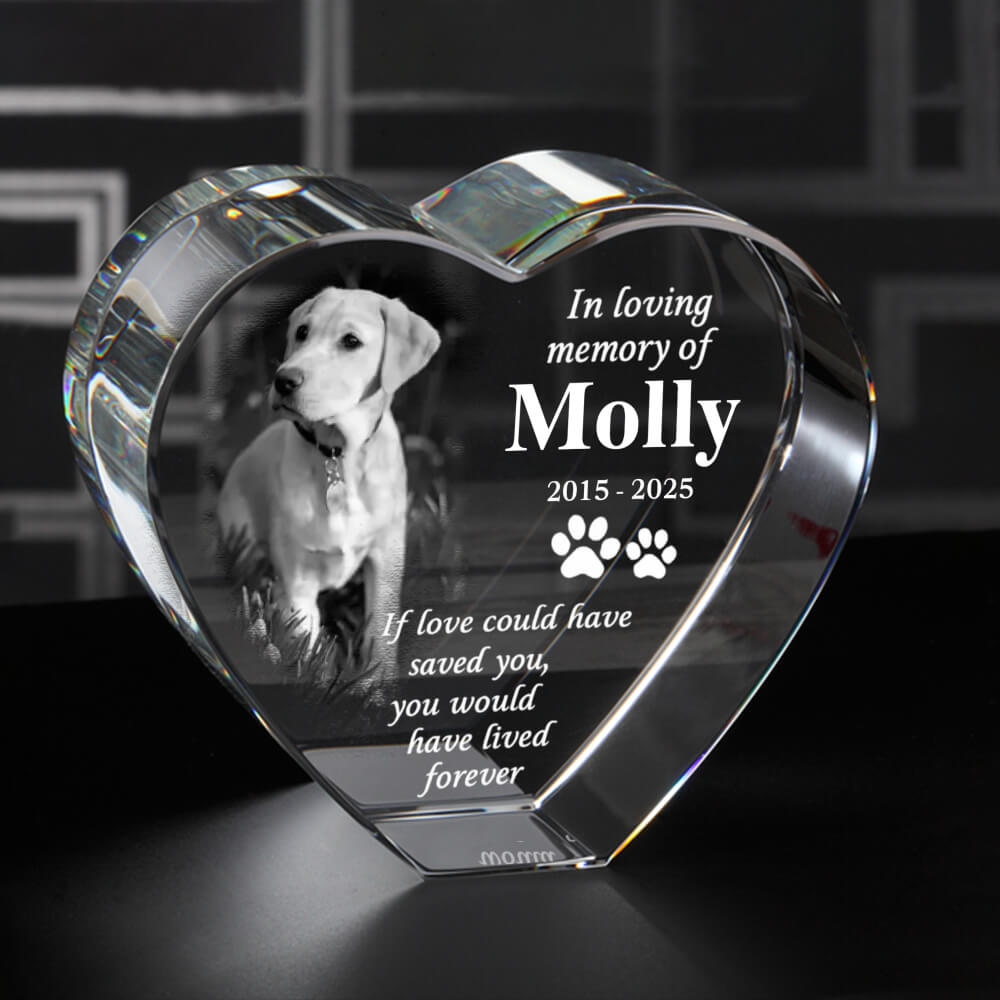 Custom 3D Crystal Pet Memorial – Laser Engraving Keepsake