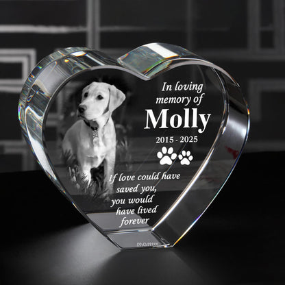 Custom 3D Crystal Pet Memorial – Laser Engraving Keepsake