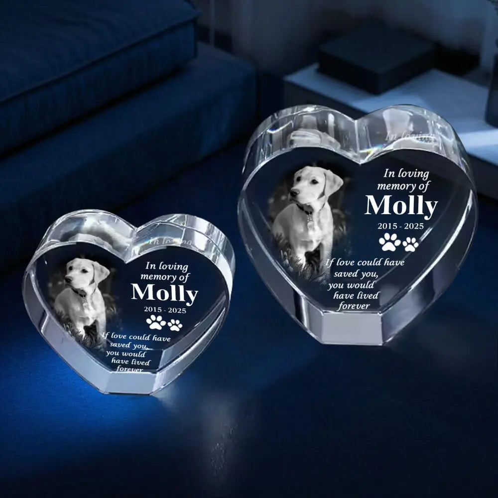 Custom 3D Crystal Pet Memorial – Laser Engraving Keepsake Duconspace