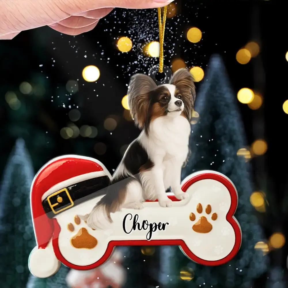 Custom Dog Sit on the Moon - Personalized Ornament, Gift for Pet Lovers Duconspace