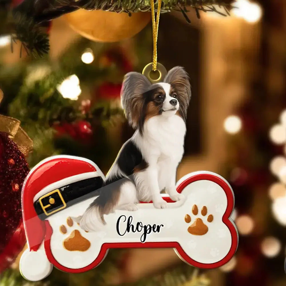 Custom Dog Sit on the Moon - Personalized Ornament, Gift for Pet Lovers Duconspace