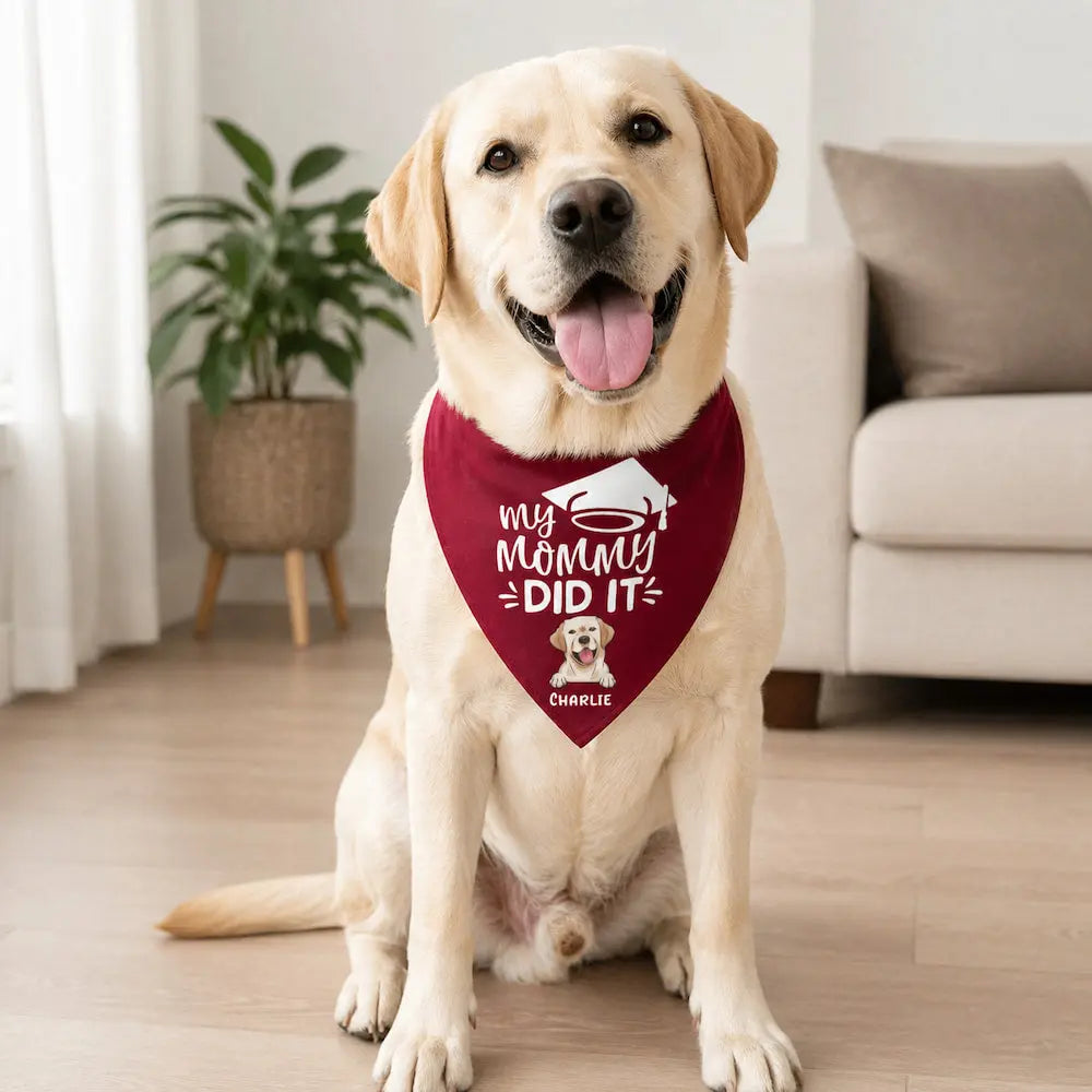 Custom Pet Graduation Bandana Dog Cat Gift Duconspace