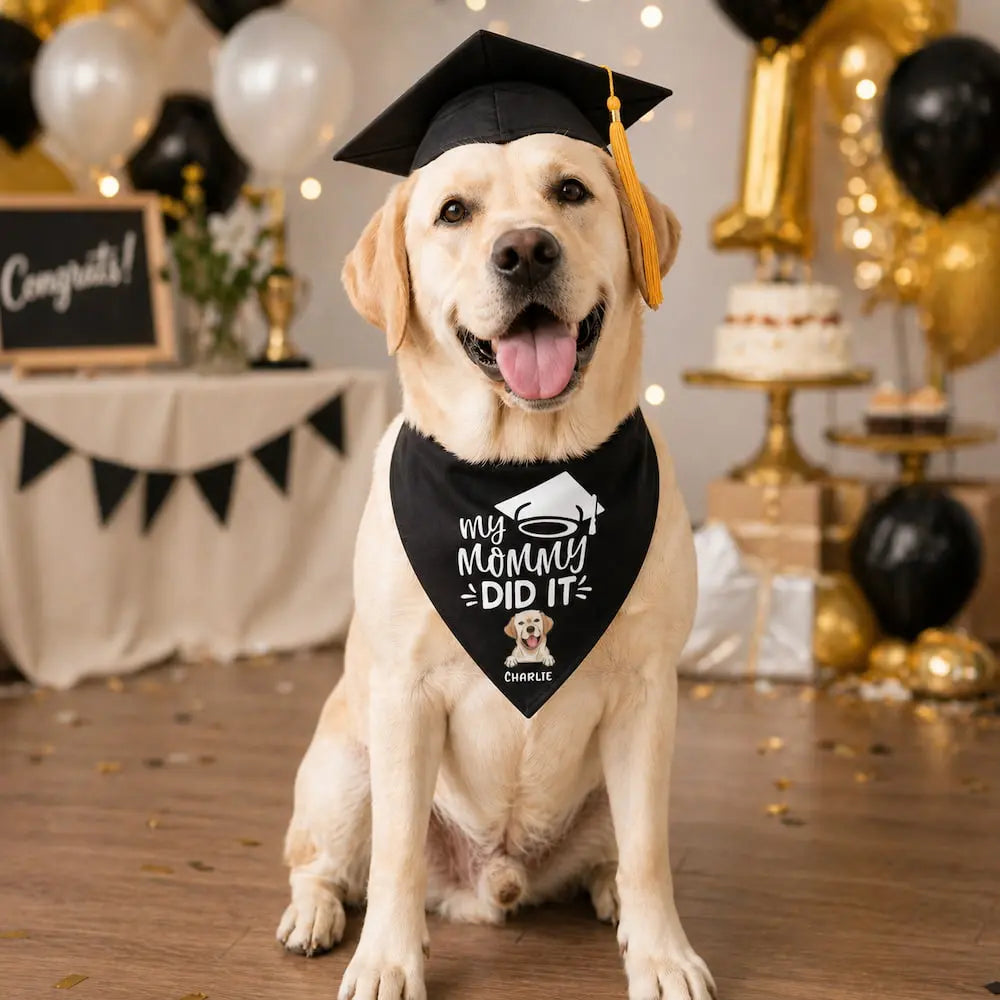 Custom Pet Graduation Bandana Dog Cat Gift Duconspace