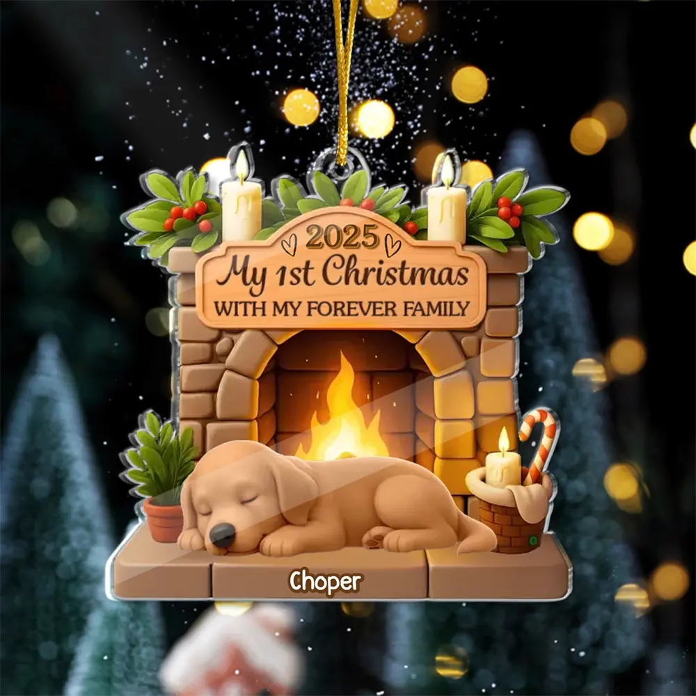 First Christmas With Family - Personalized Acrylic Ornament Gifts for Dog Lovers Duconspace