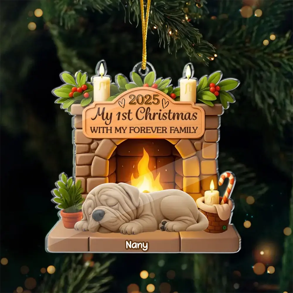 First Christmas With Family - Personalized Acrylic Ornament Gifts for Dog Lovers Duconspace