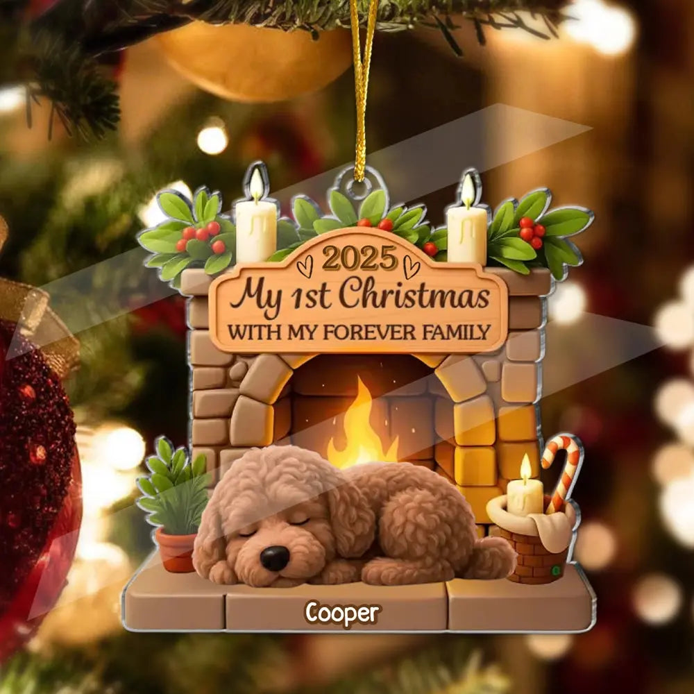 First Christmas With Family - Personalized Acrylic Ornament Gifts for Dog Lovers Duconspace