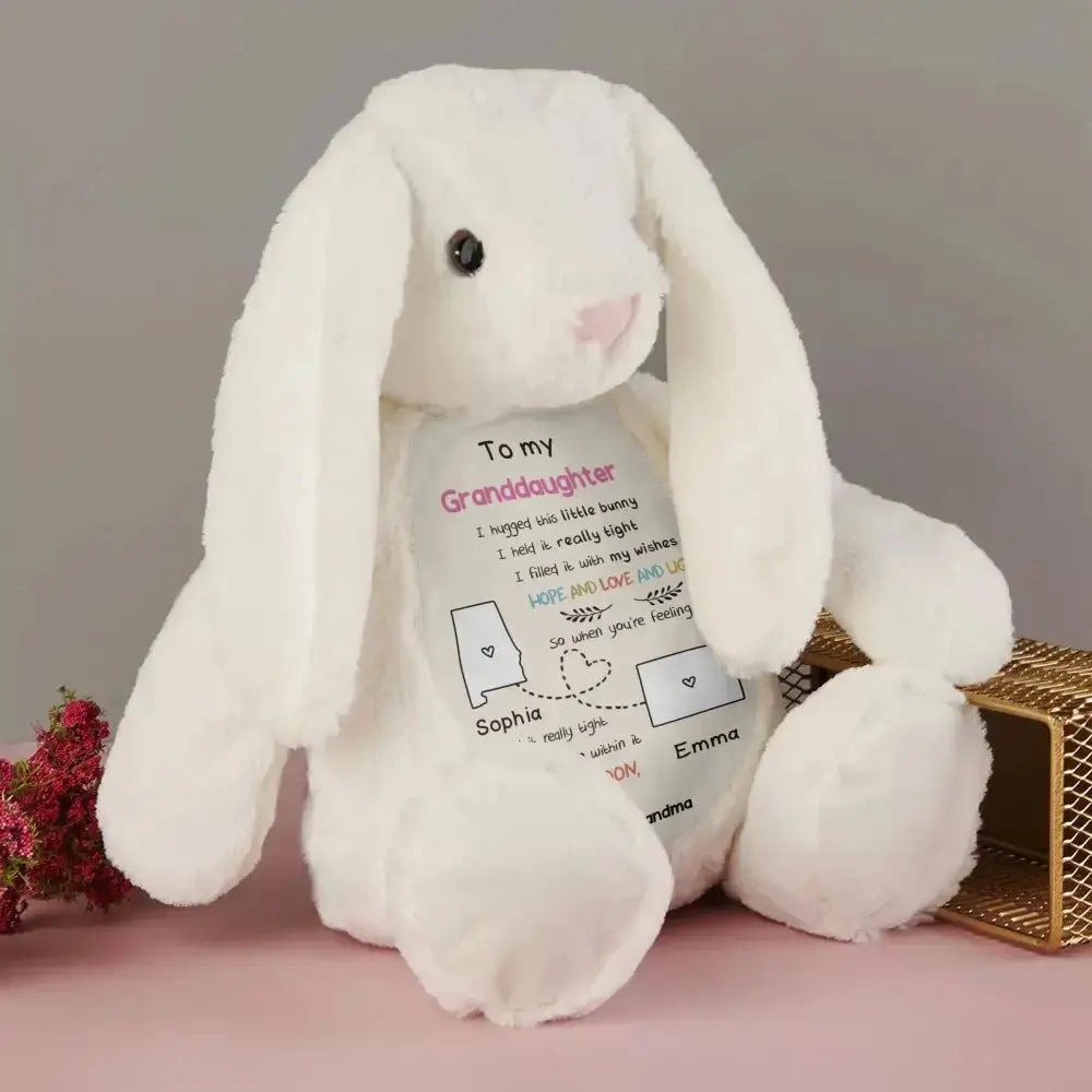 Long Distance Drawing Stuffed Bunny - Personalized Gift From Grandma Duconspace