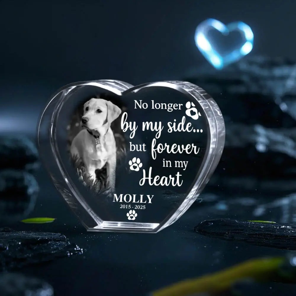 Top 2025 3D Crystal Engraving Laser – Pet Memorial Gift Duconspace