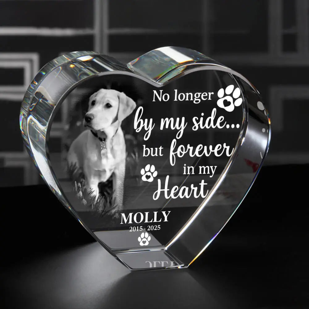 Top 2025 3D Crystal Engraving Laser – Pet Memorial Gift Duconspace