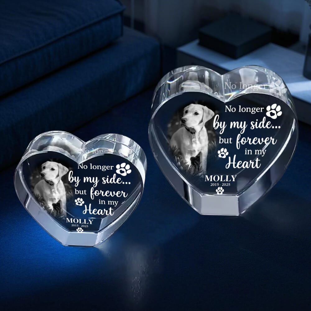 Top 2025 3D Crystal Engraving Laser – Pet Memorial Gift