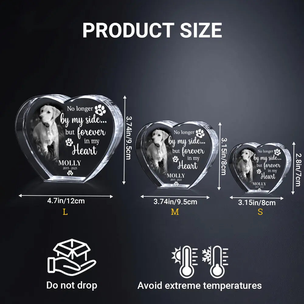 Top 2025 3D Crystal Engraving Laser – Pet Memorial Gift Duconspace