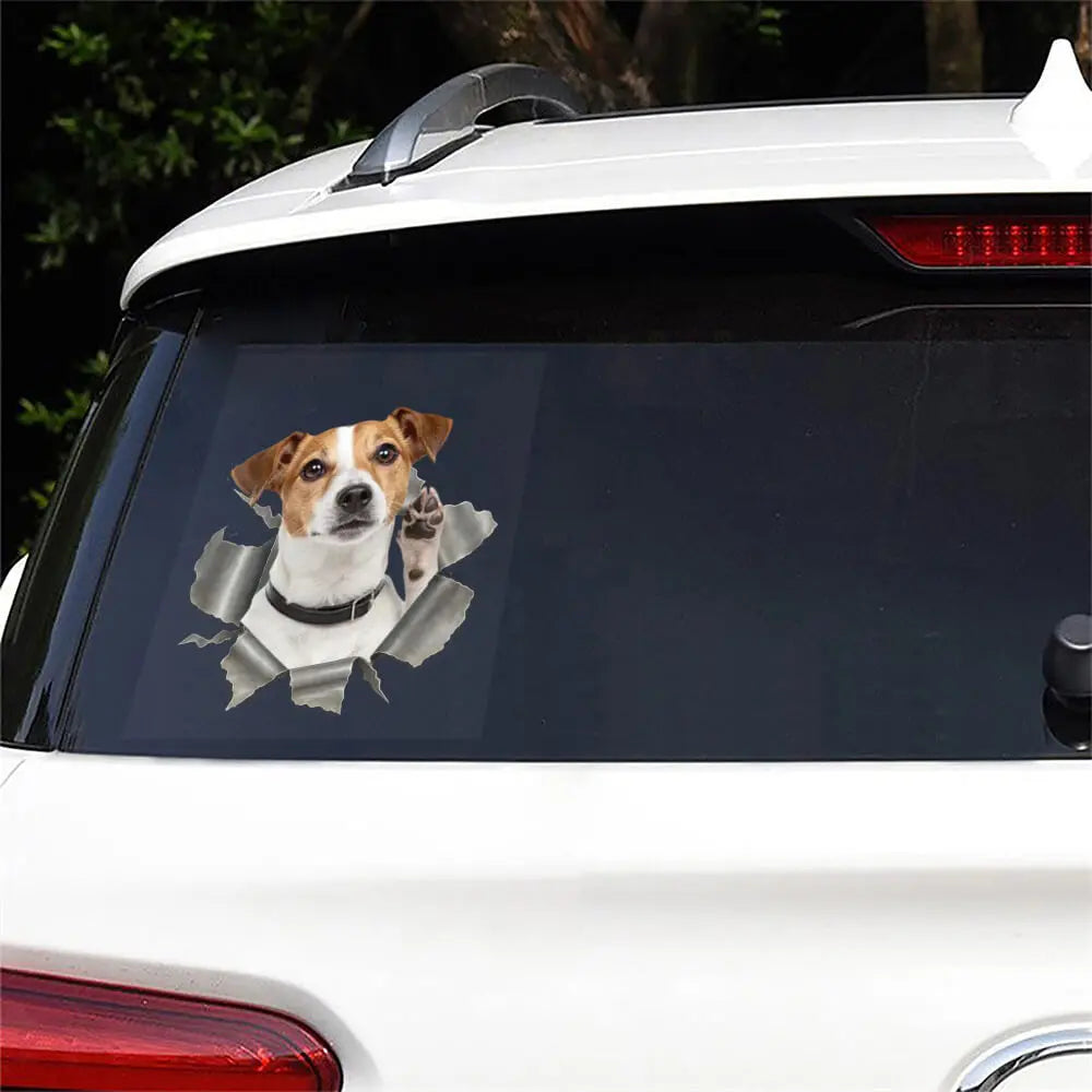 Personalized RV Decal #1 Choice — Dog & Cat Photo Gift! Duconspace